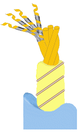 TD500