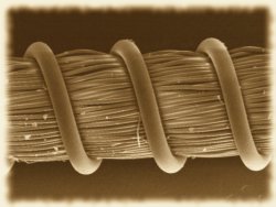 Wire X-ray